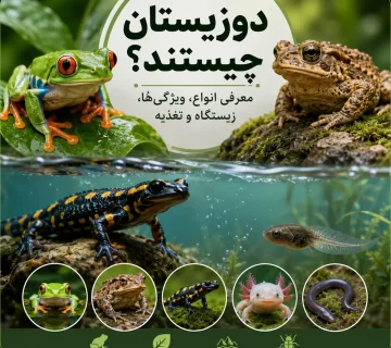 دوزیستان